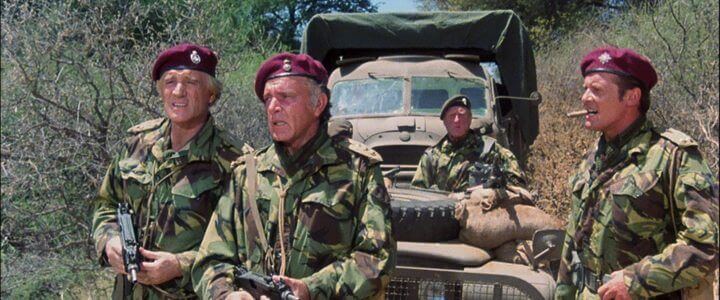 The Wild Geese