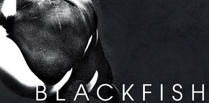 blackfish-netflix-documentary
