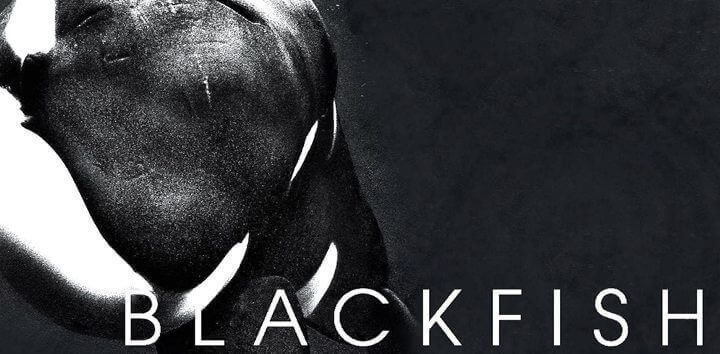 Blackfish Netflix Documentary