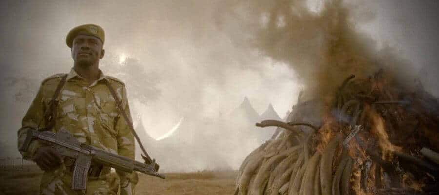 The Ivory Game Netflix