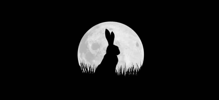 Watership Down