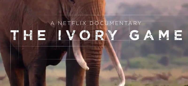 Best Documentaries on Netflix in 2019 on