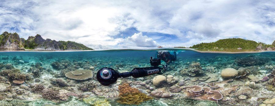 Chasing Coral