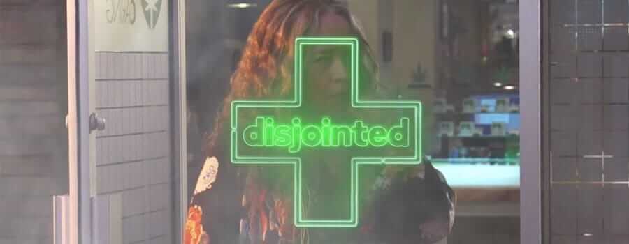 Disjointed Netflix