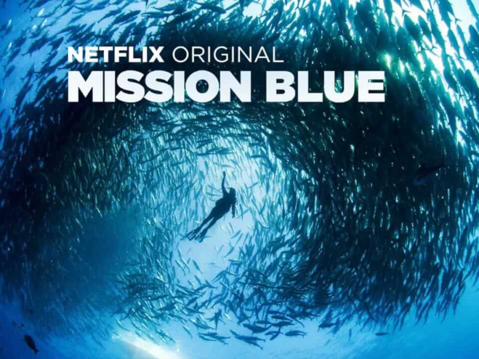 Code Blue Netflix Code Blue Documentary On Netflix – BNVB