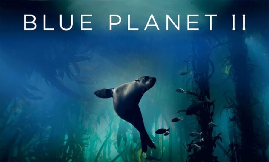 Blue Planet Netflix