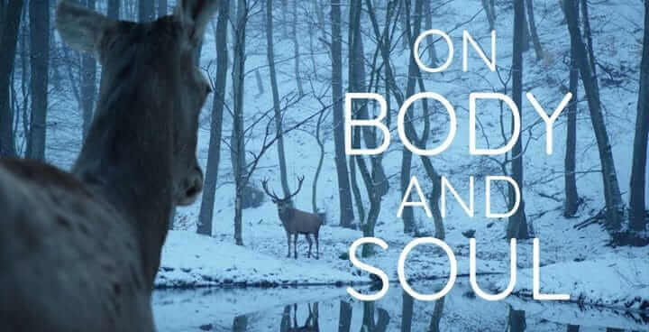 On Body And Soul