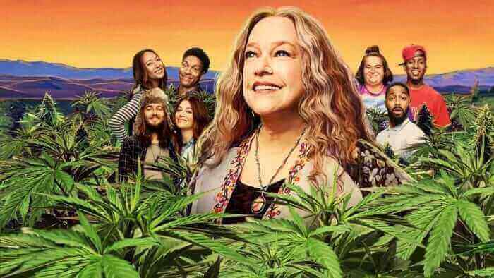 Disjointed Part Netflix
