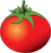 Rotten Tomatoes Logo