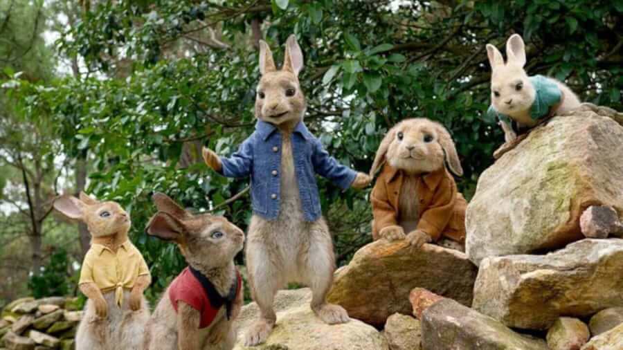 Rabbit netflix hotsell