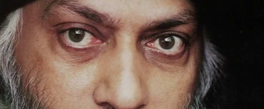 Wild Wild Country Netflix
