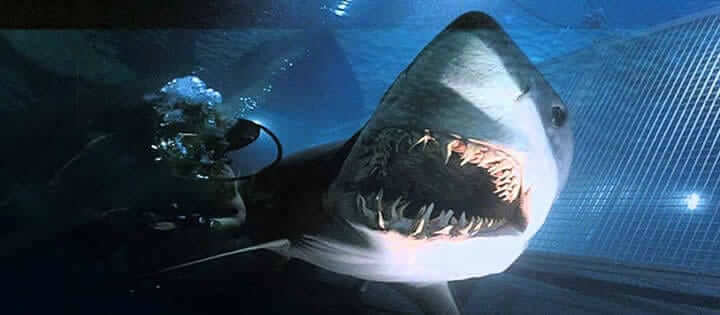 Deep Blue Sea