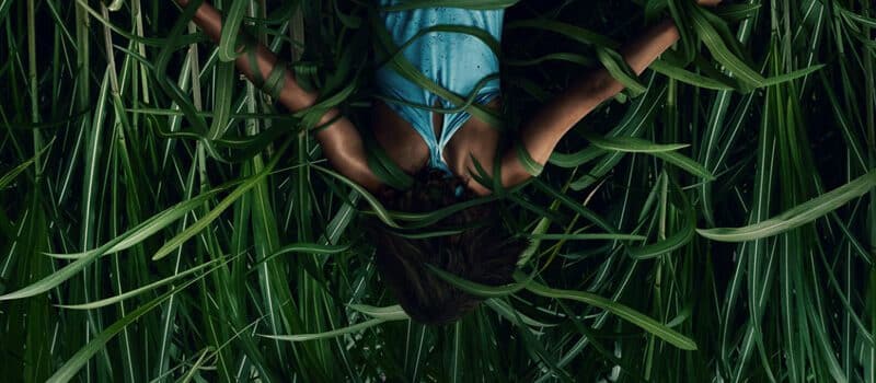 In The Tall Grass Netflix
