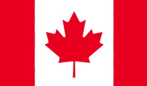 New on Netflix CA Flag