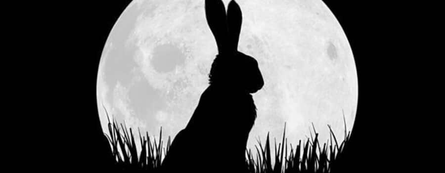 Watership Down Netflix Christmas