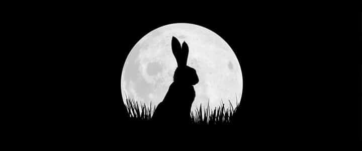 Watership Down Netflix