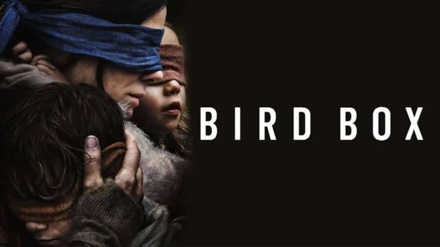 Bird Box Cover Art