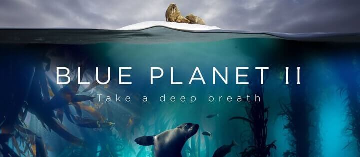 Blue Planet Netflix