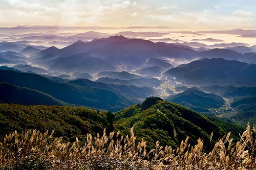Korean Countryside Kingdom Netflix