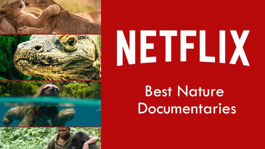 stewardesse Først Manchuriet Best Nature Documentaries on Netflix in 2019 - What's on Netflix