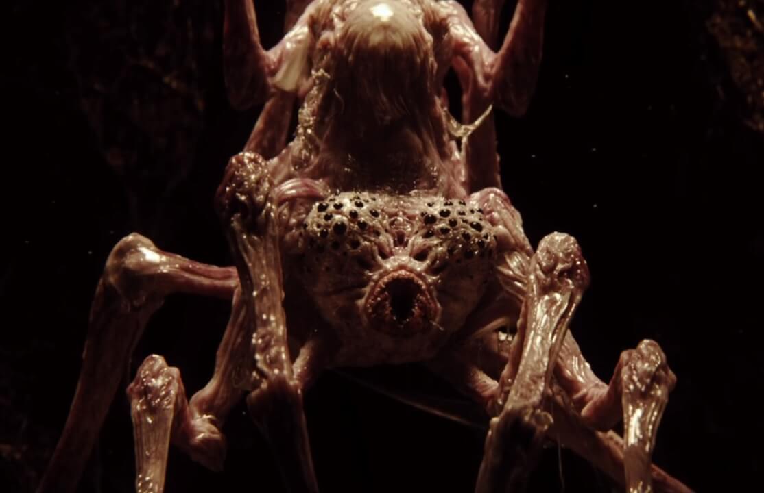Beyond The Aquila Rift Love Death And Robots Ending Explained Greta