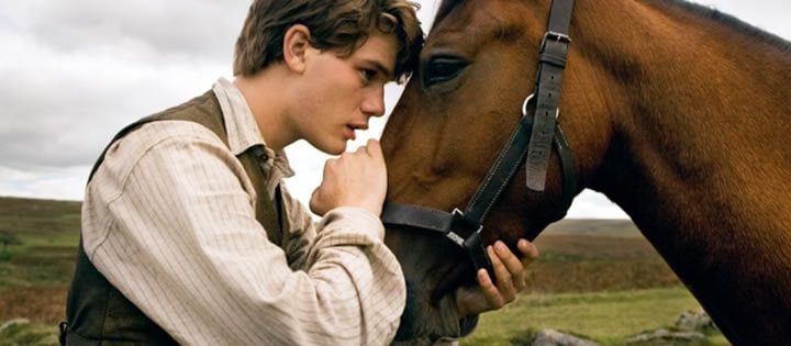 War Horse 2011