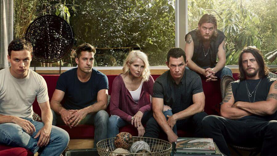 are seasons 1 5 animal kingdom netflix