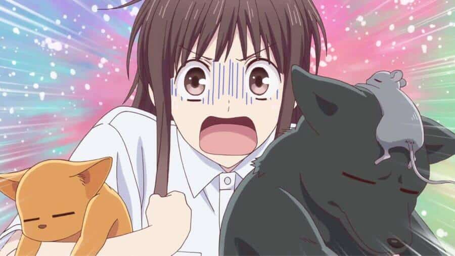 Is Fruits Basket good Is it Worth watching A Complete Review