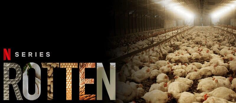 Rotten Season October Netflix