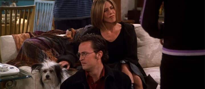 Every Friends Halloween Episode On Netflix The One Where Chandler Doesnt Like Dogs