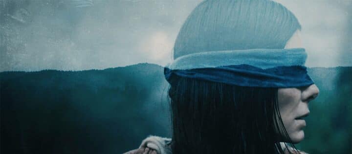 Top Sci Fi Titles On Netflix Bird Box