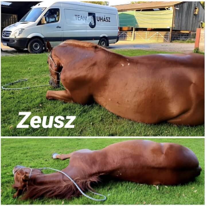 The Witcher Season June Developments Latest News Zeus