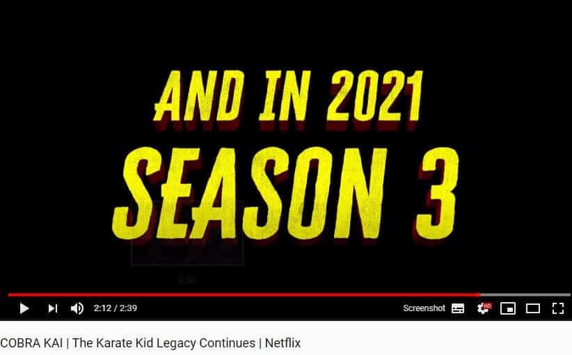 Release Date Cobra Kai