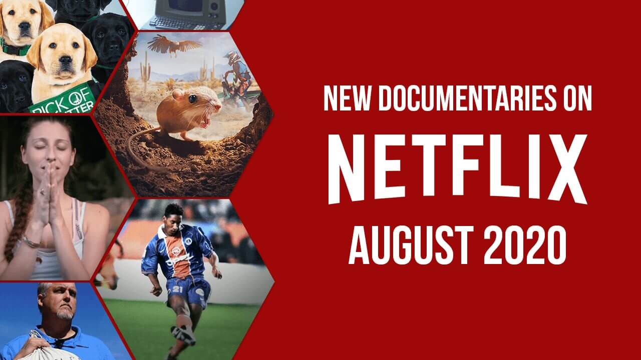 Best New Documentaries on Netflix August 2020 What's on Netflix