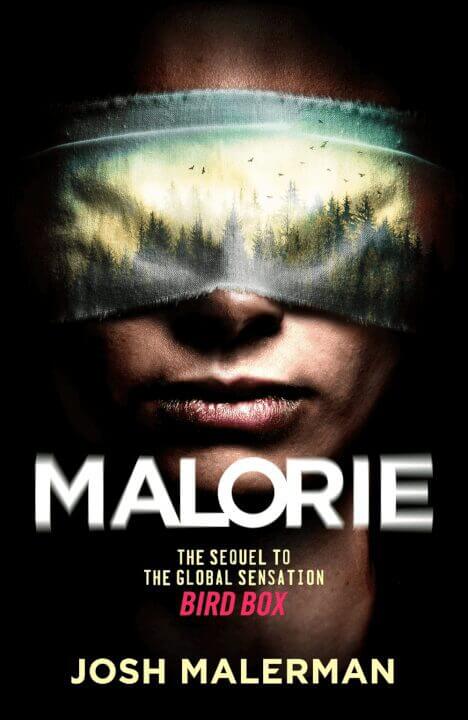 netflix horror bird box sequel reportedly in development Malorie png