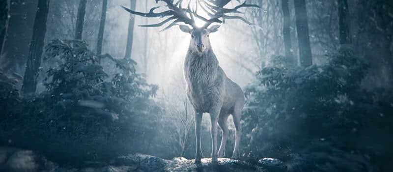 "Shadow and Bone (Season 2)": Release date, Cast and Everything We Know About the Fantasy TV series 17 shadow and bone netflix original april 2021