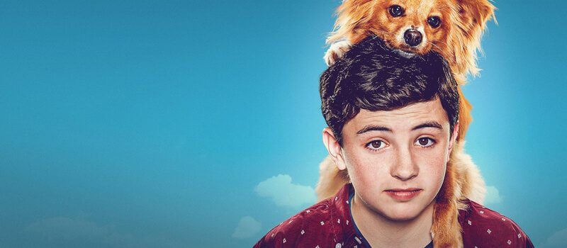 The Healing Powers Of Dude Netflix