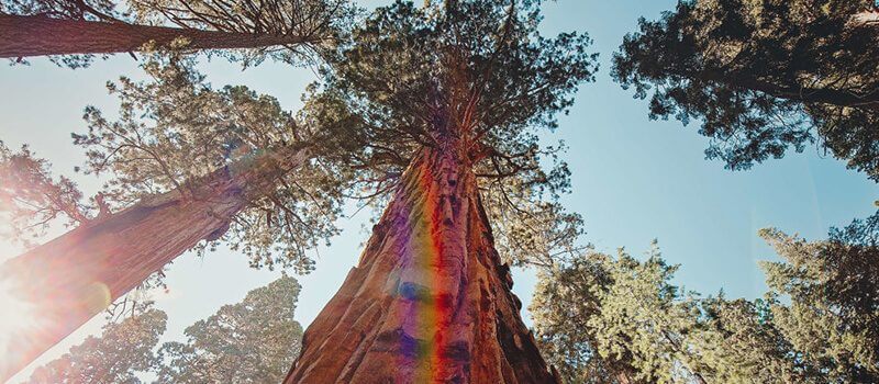 Great National Parks Netflix