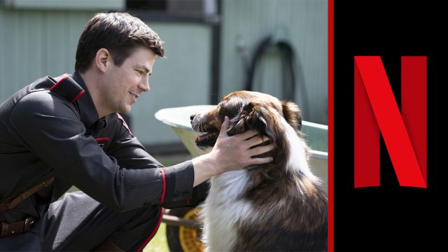 Rescued By Ruby Netflix March