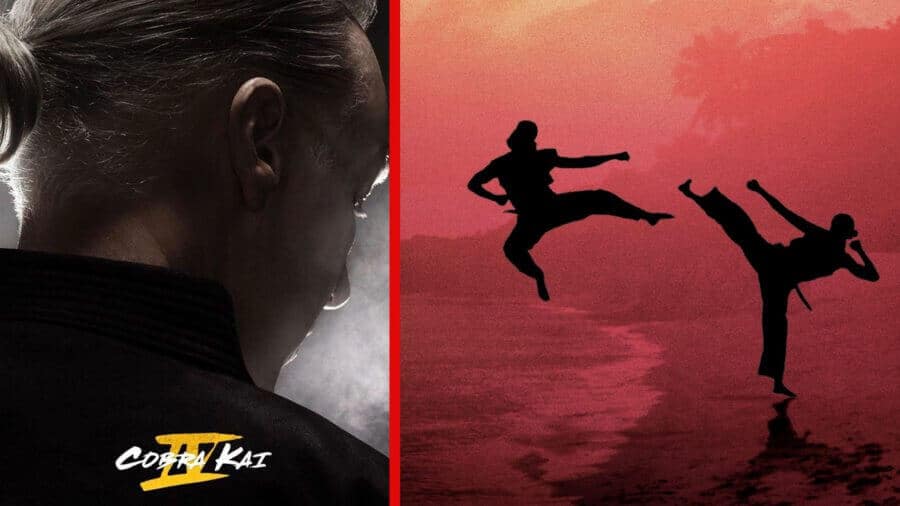 ‘Cobra Kai’ Season 4: Netflix Release Date & Everything Known So Far