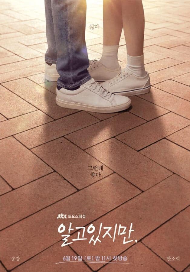 Netflix K Drama Nevertheless Season Jtbc Poster