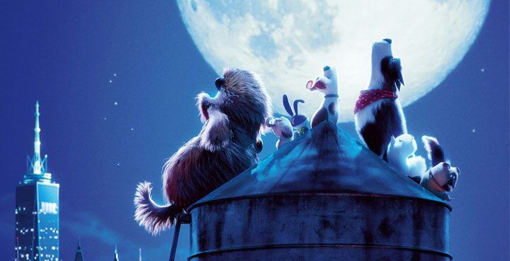 The Secret Life Of Pets