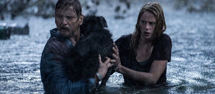 Crawl Netflix