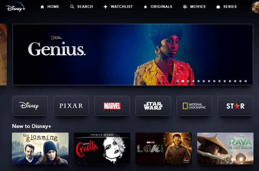 Disney Plus Internal Brands