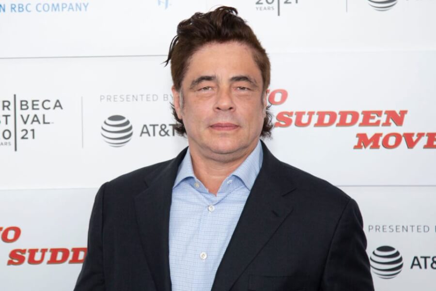 benicio del toro benicio del toro