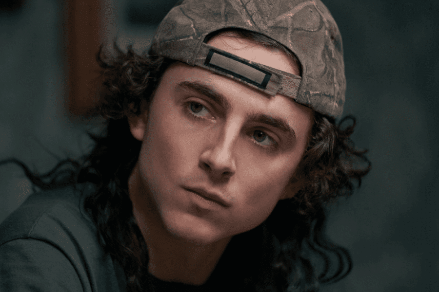 Dont Look Up Netflix Timothee Chalamant