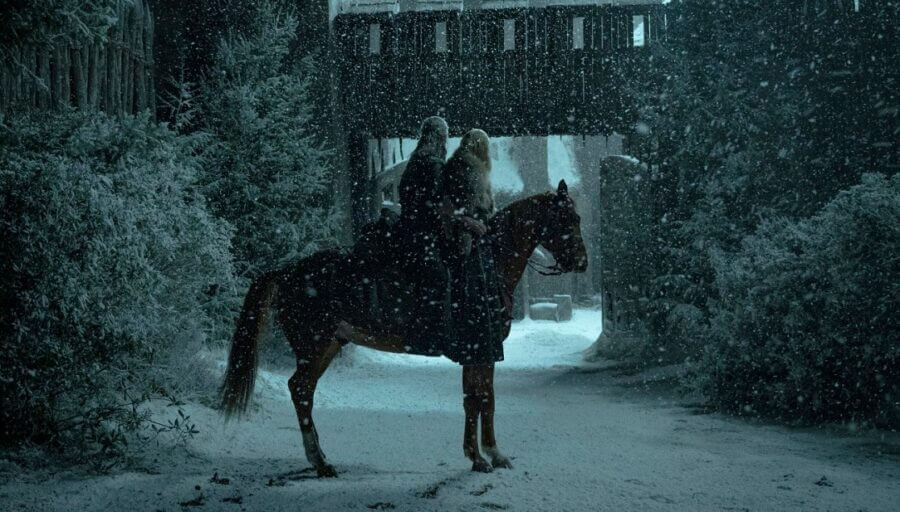 Roach Horse The Witcher Season Scaled