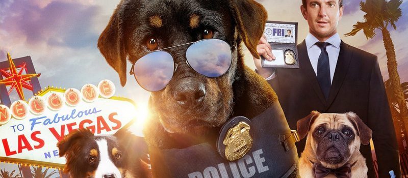 Neue Showdogs auf Netflix September 2021