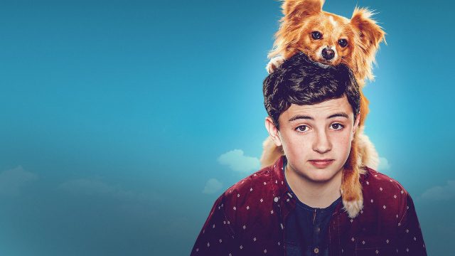 The Healing Power Of Dude Season Netflix Scaled