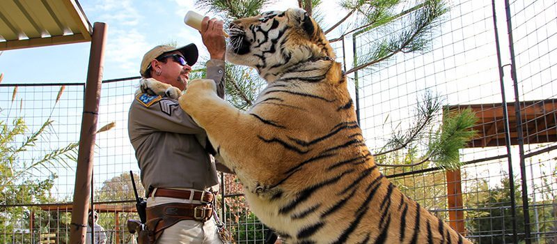 Tiger King Season